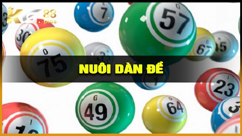 Nuôi Dàn Đề